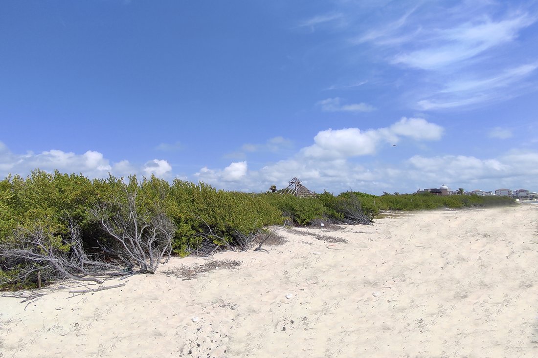 Land in Puerto Morelos, Quintana Roo, Mexico 5 - 12887460