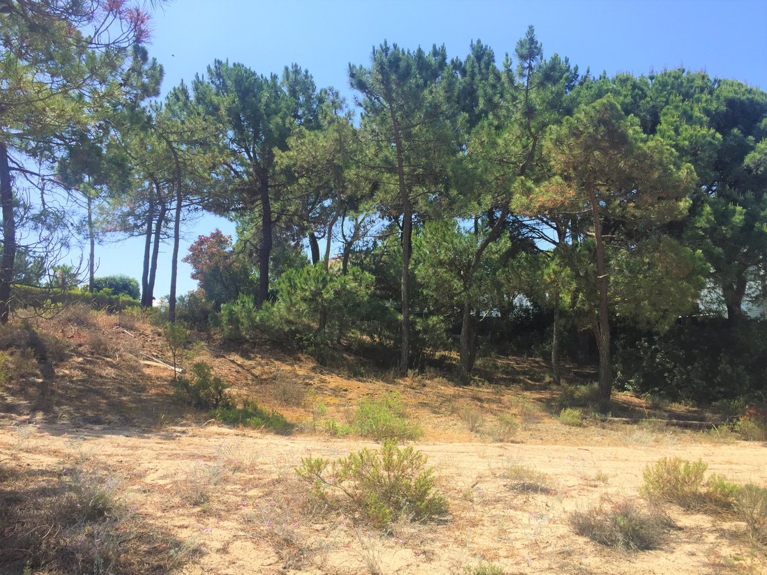 Terreno a Comporta, Setúbal Municipality, Portogallo 1 - 12884691