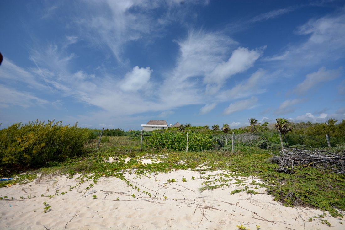 Land in Puerto Morelos, Quintana Roo, Mexico 2 - 12887460