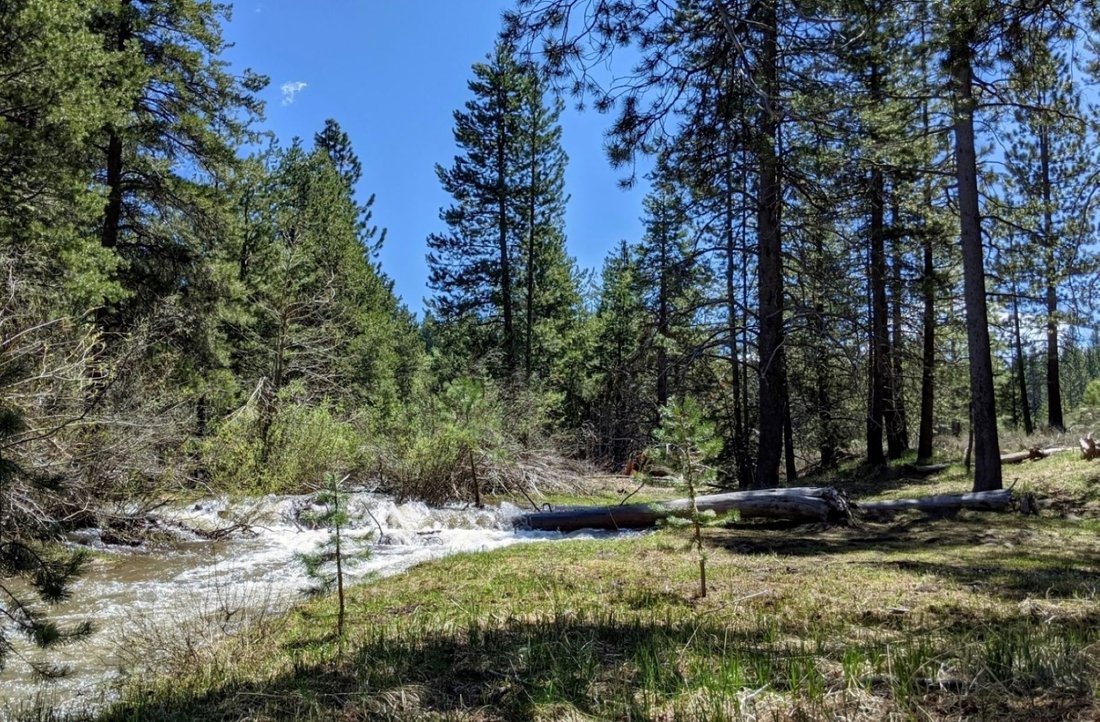 Heritage Springs Estate In Truckee, California, United States For Sale (12887418)