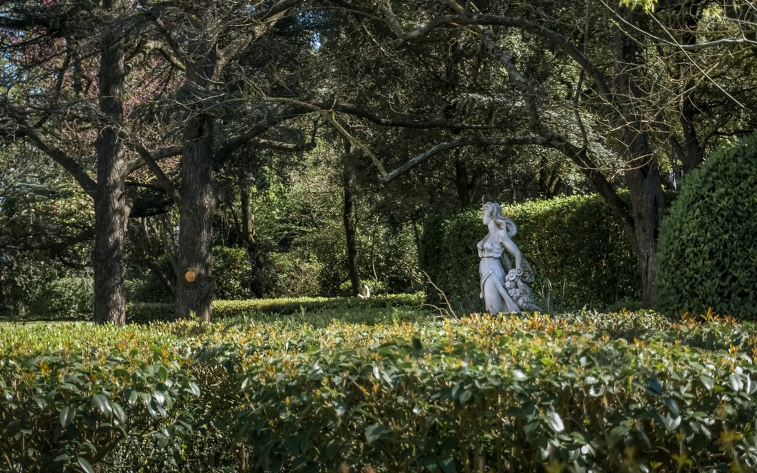 Whispers of the Vine: A Belle Époque Château in Carcassonne’s Golden Light