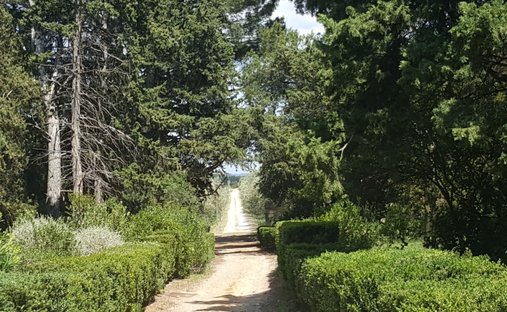 Estate in Baliste, Narbonne, France 1