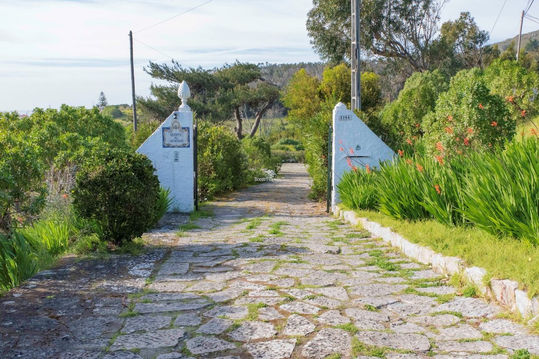 Villa in Cascais e Estoril, Lisbon, Portugal 3 - 12607872