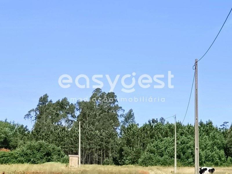Rustic Land Sea View In Quintas Do Norte In Torreira, Aveiro District