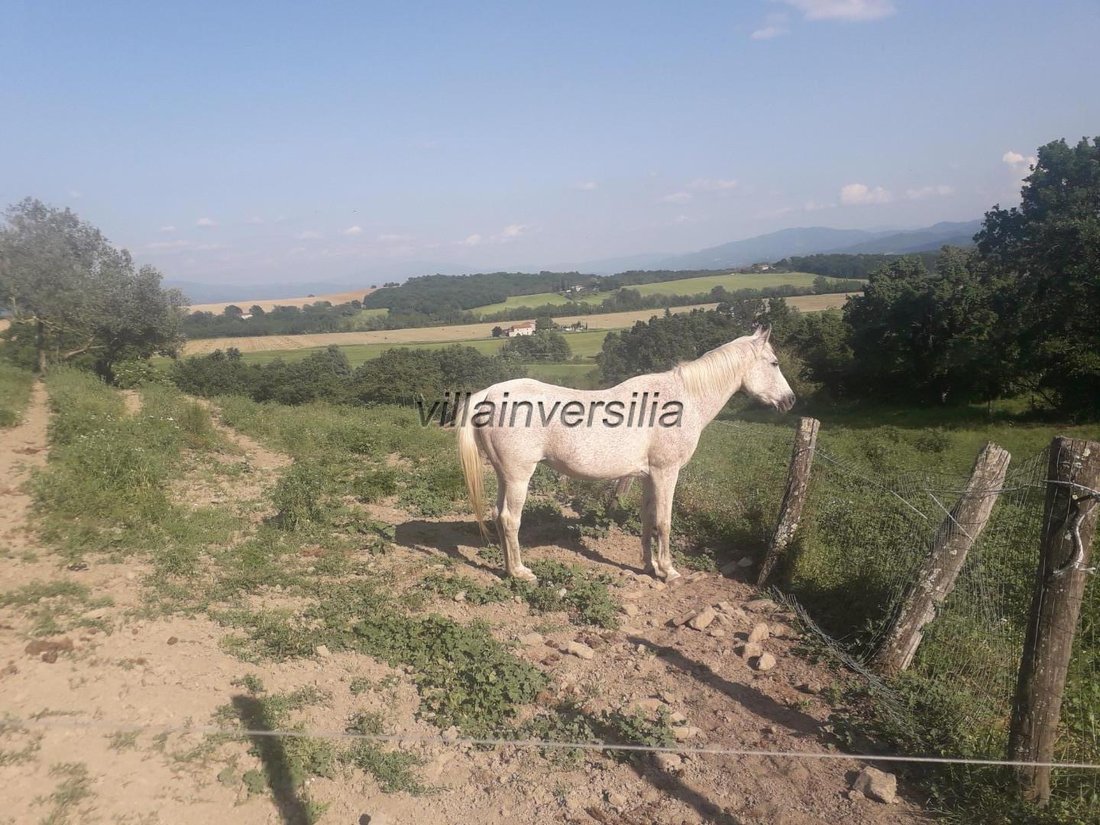 Barberino di Mugello, Tuscany, Italy 4 - 12893475