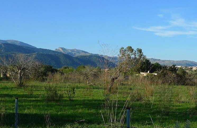 Finca in Selva, Balearic Islands, Spain 2 - 12709834