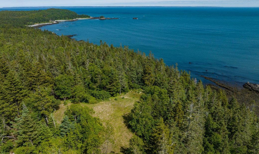 Moose Cove In Township Of Trescott, Maine, United States For Sale