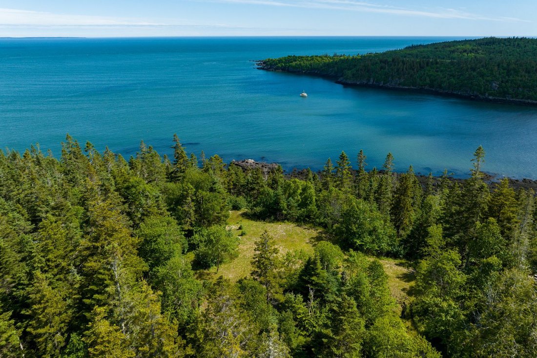 Moose Cove In Township Of Trescott, Maine, United States For Sale ...