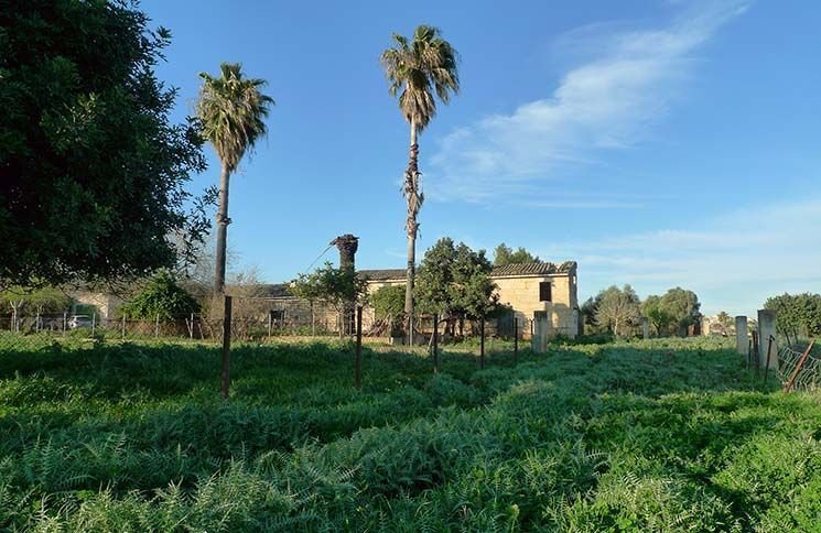 Finca in Selva, Balearic Islands, Spain 1 - 12709834