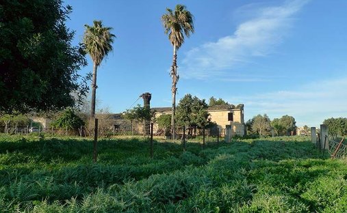 Finca à Selva, Îles Baléares, Espagne 1