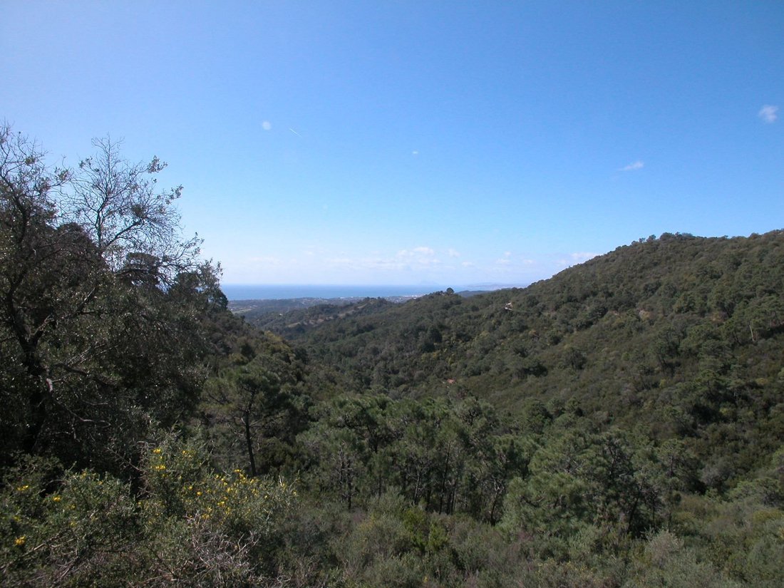 Finca à Estepona, Andalousie, Espagne 1 - 10750655