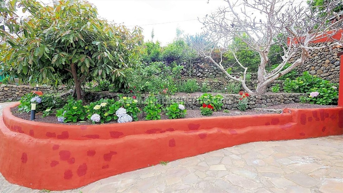 Country House in Icod de los Vinos, Canary Islands, Spain 5 - 12892530