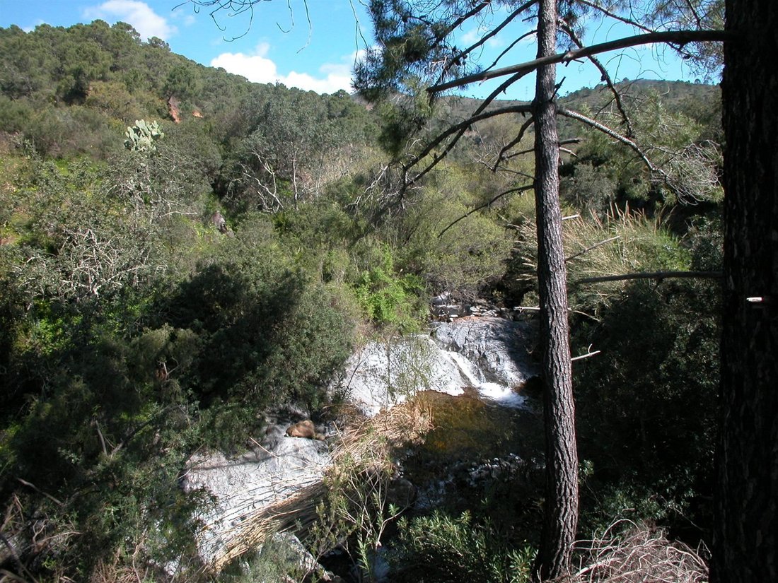 Finca à Estepona, Andalousie, Espagne 5 - 10750661