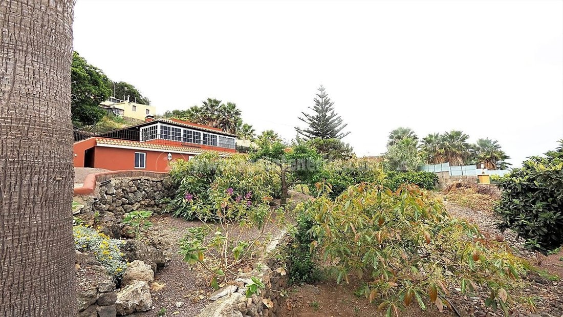 Country House in Icod de los Vinos, Canary Islands, Spain 2 - 12892530