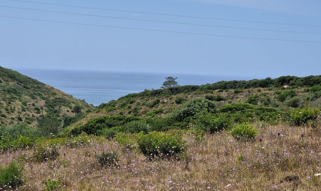 Land Ericeira 2 Km, A Casa Das Casas In Ericeira, Lisbon, Portugal For