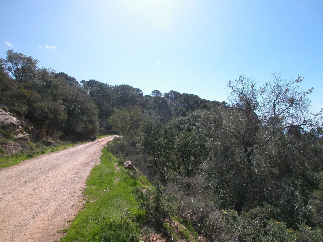 Finca à Estepona, Andalousie, Espagne 2 - 10750655