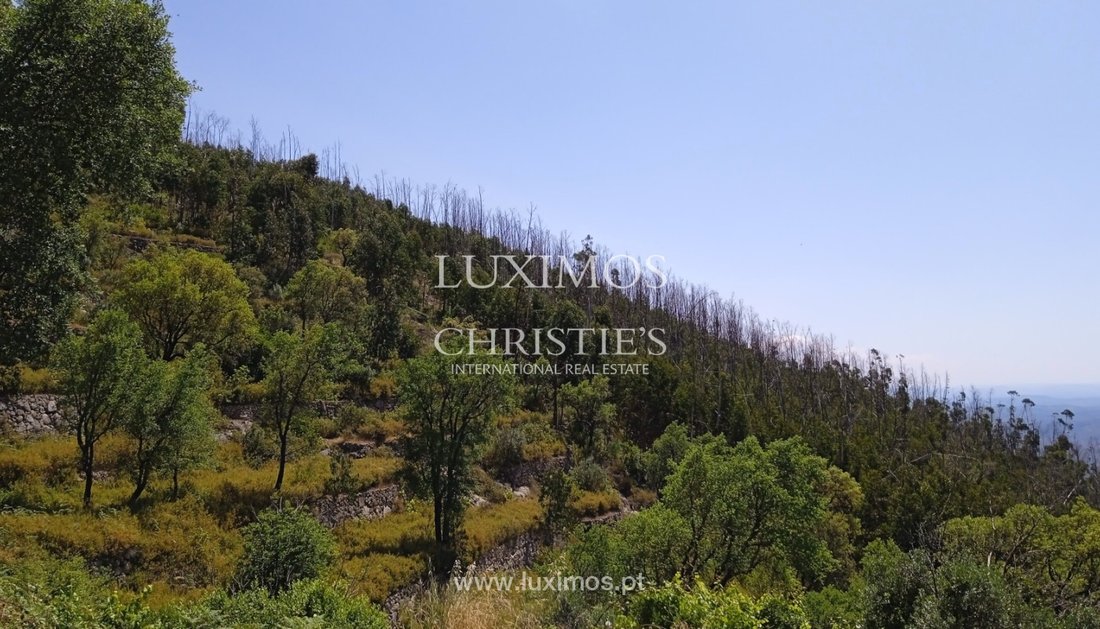 Land in Monchique, Algarve, Portugal 3 - 12894844