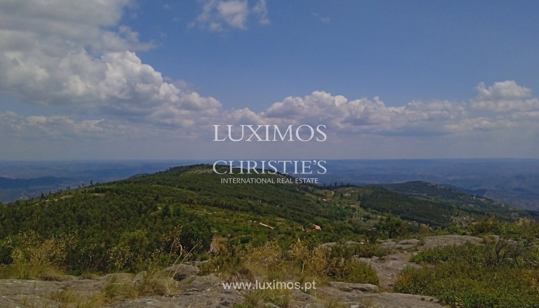 Land in Monchique, Algarve, Portugal 4 - 12894844