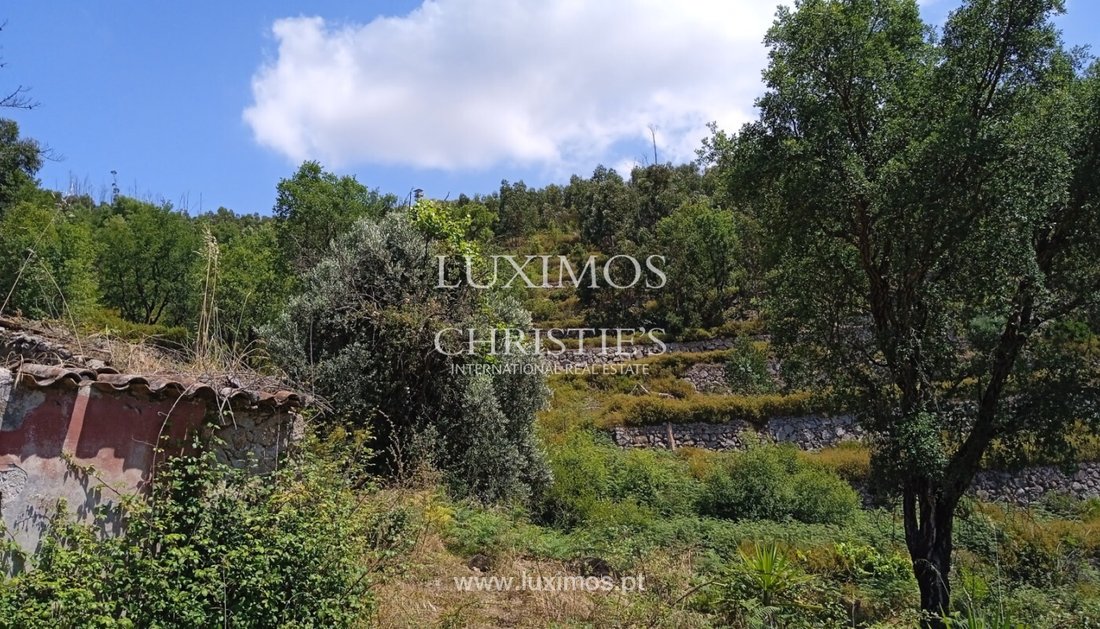 Land in Monchique, Algarve, Portugal 2 - 12894844