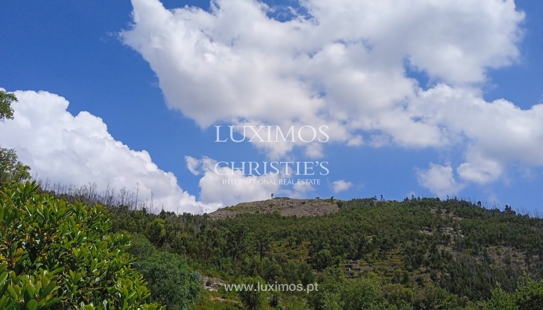 Land in Monchique, Algarve, Portugal 1 - 12894844