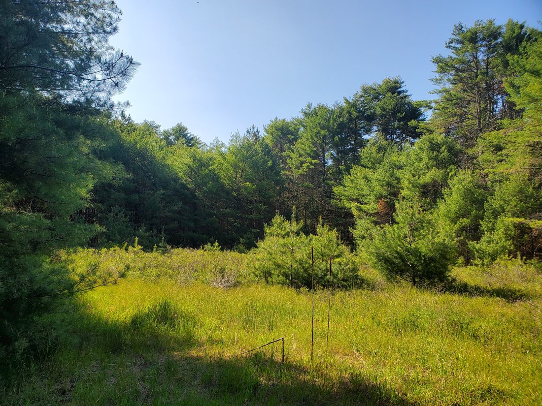 Land in Monticello, New York, United States 2 - 12896995