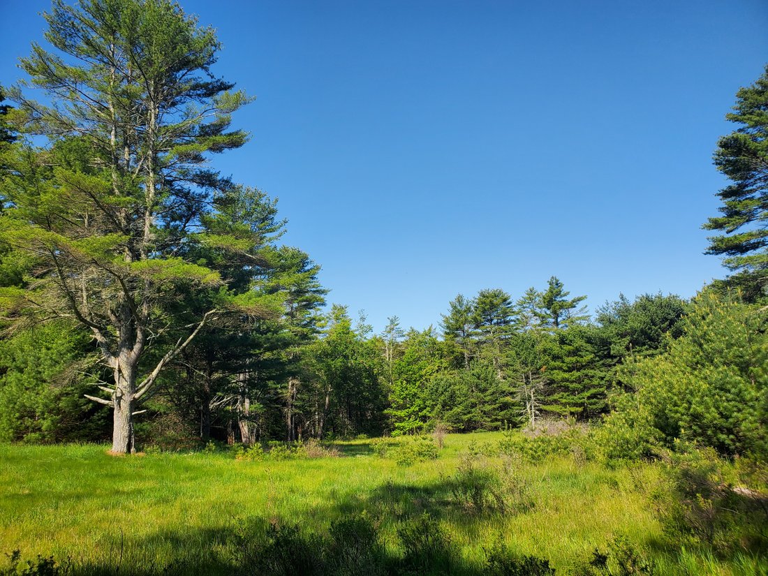 Land in Monticello, New York, United States 5 - 12896995