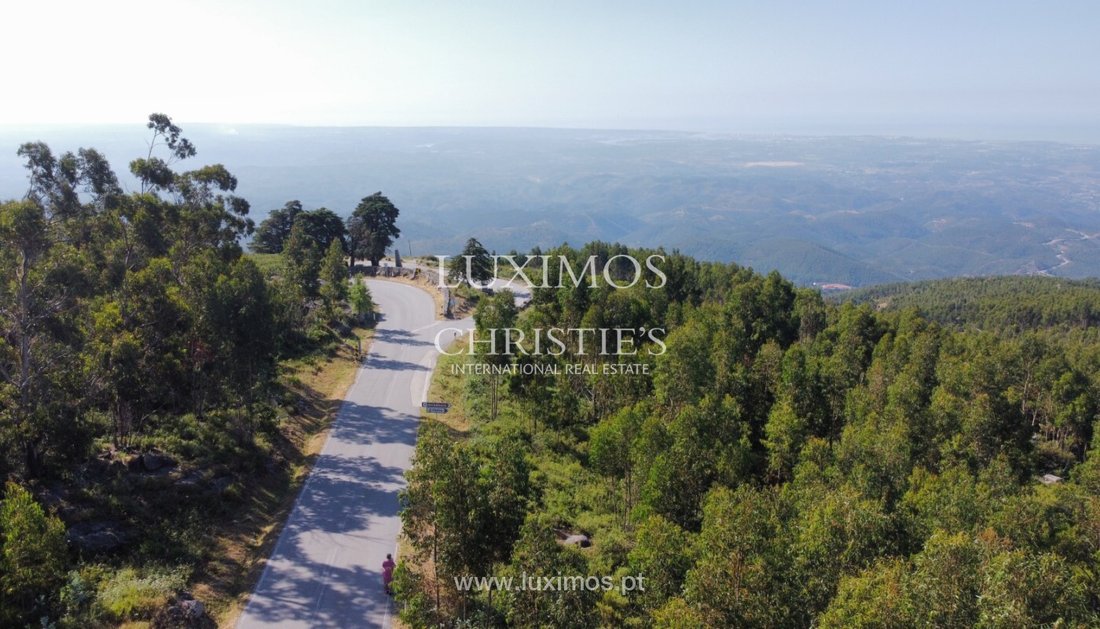 Land in Monchique, Algarve, Portugal 4 - 12898598