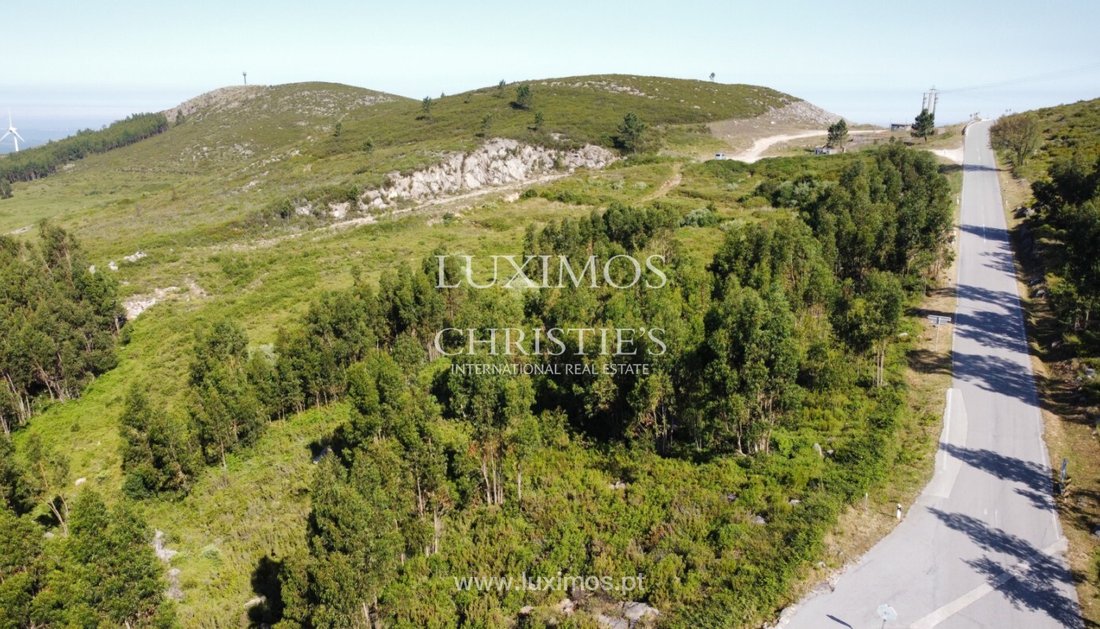 Land in Monchique, Algarve, Portugal 2 - 12898598