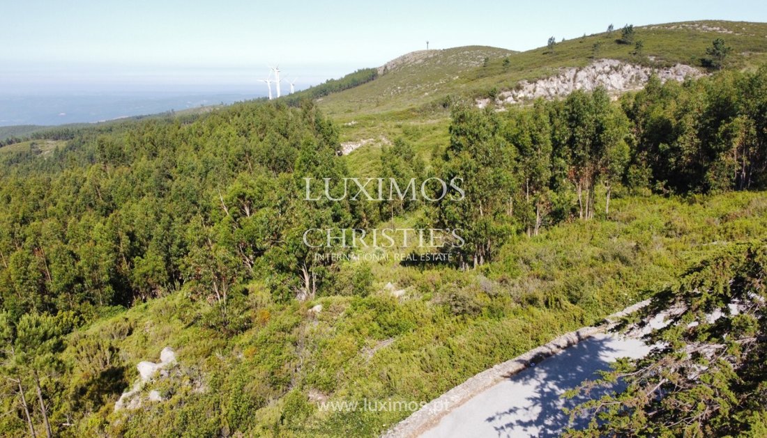 Land in Monchique, Algarve, Portugal 1 - 12898598