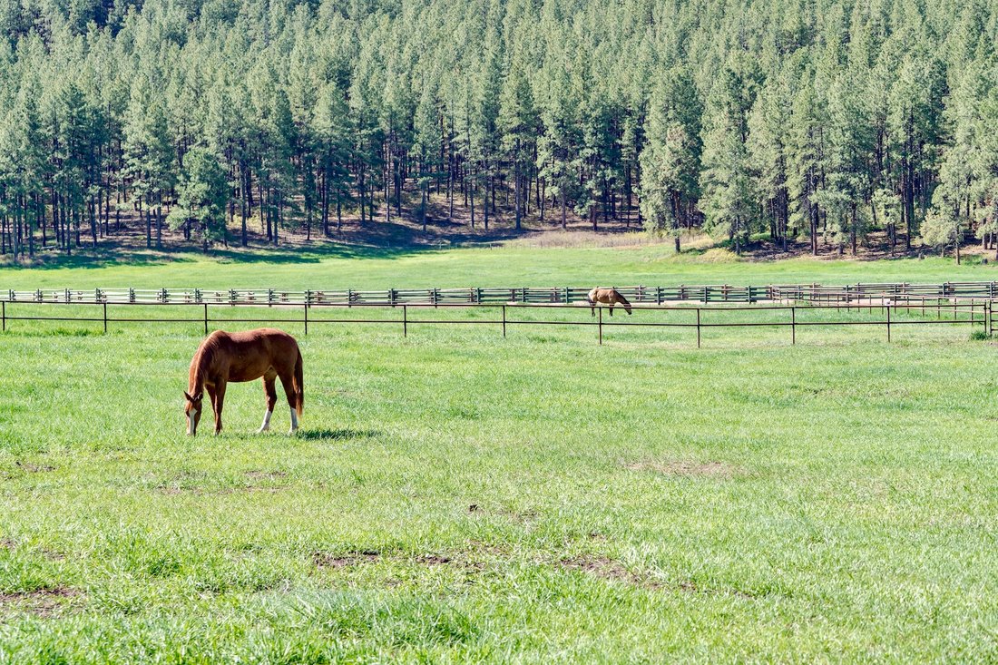 House in Bayfield, Colorado, United States 4 - 12897711