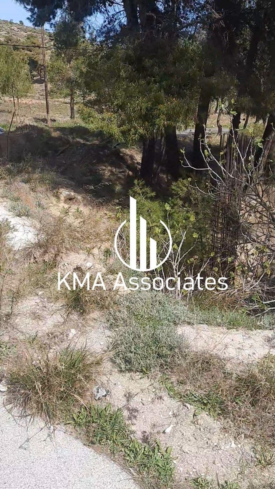 Land in Dione, Pikermi, Attica 4 - 12902690