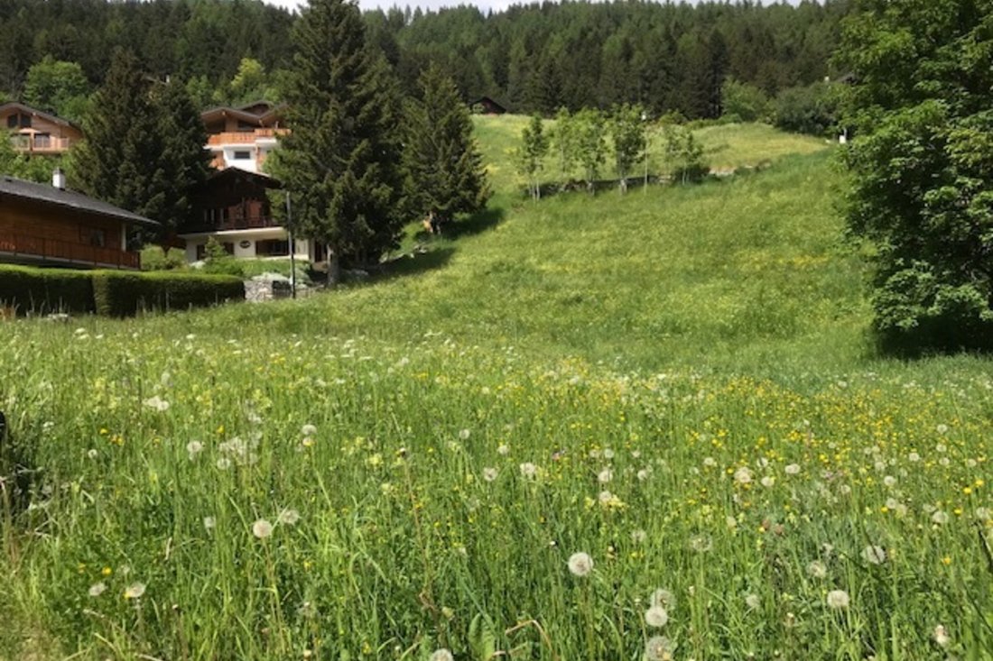 Magnificent Plot Of Land In The Heart Of The In Leytron, Valais