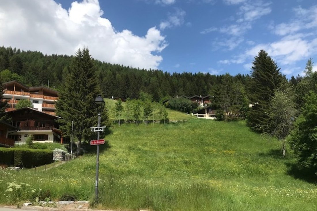 Magnificent Plot Of Land In The Heart Of The In Leytron, Valais