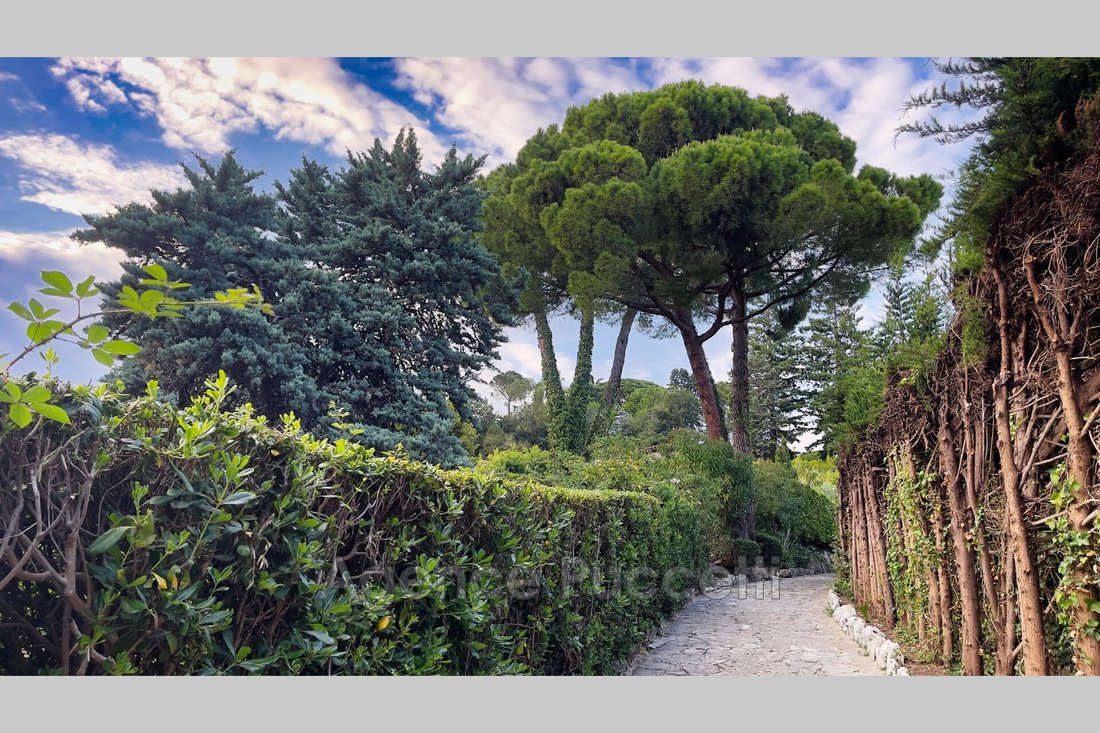 Villa in Plan de Noves, Vence, France 4 - 12906285