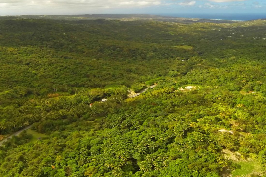 Mount Wilton Land In Barbados For Sale (12894527)