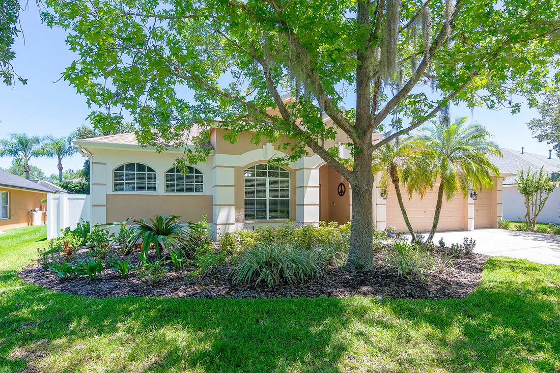 T3449441 In Land O' Lakes, Florida, United States For Sale (12904354)