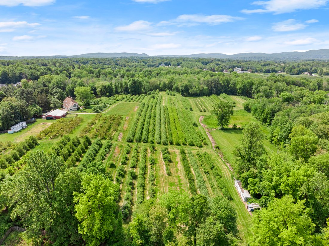 Hickory Hill Orchards Farmhouse In Cheshire, Connecticut, United States For Sale (12904306)