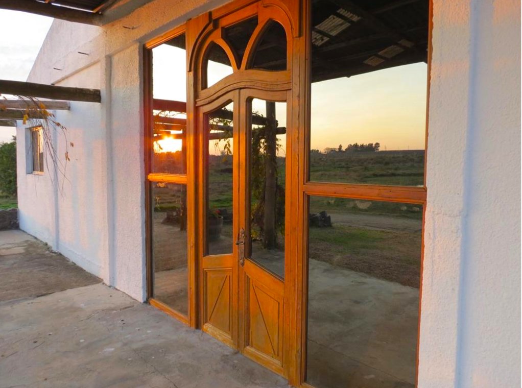 Amazing Wine Farm In Uruguay In Las Piedras, Canelones Department