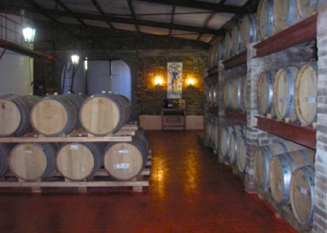 Amazing Wine Farm In Uruguay In Las Piedras, Canelones Department