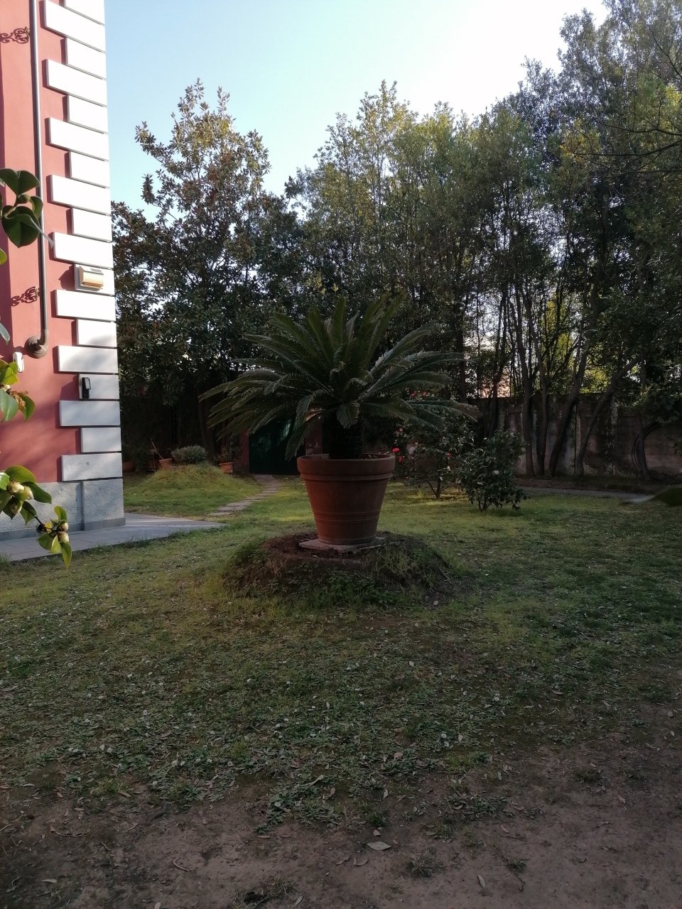 House in Stadium - Sant'Antonio - Marasio, Marina di Carrara, Tuscany 3 - 12915369