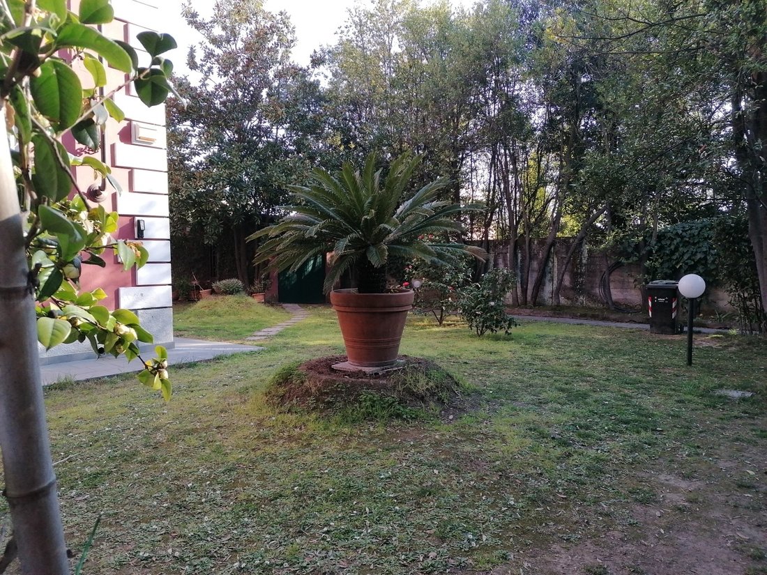 House in Stadium - Sant'Antonio - Marasio, Marina di Carrara, Tuscany 4 - 12915369