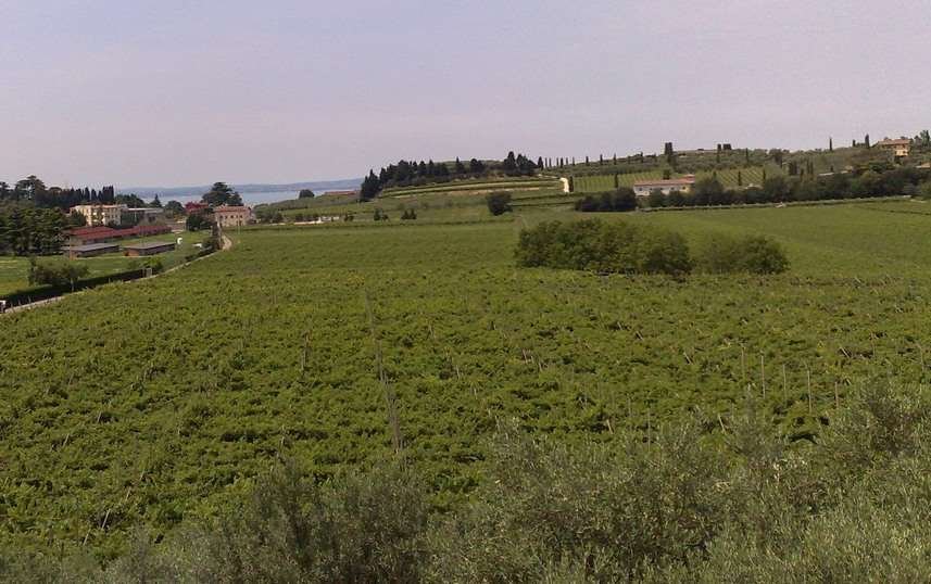 Farm Ranch in Cavaion Veronese, Veneto, Italy 3 - 12916487