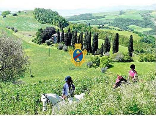 Azienda agricola a Centro Storico, Siena, Toscana 4 - 12916555
