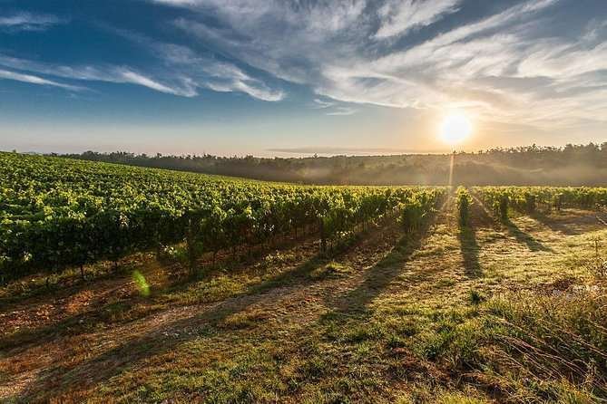 Land in Bardolino, Veneto, Italy 1 - 12916530