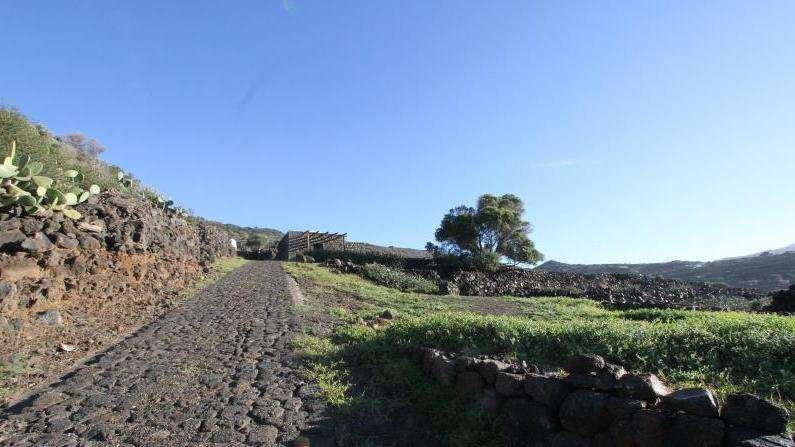 Farm Ranch in Pantelleria, Sicily, Italy 2 - 12916533