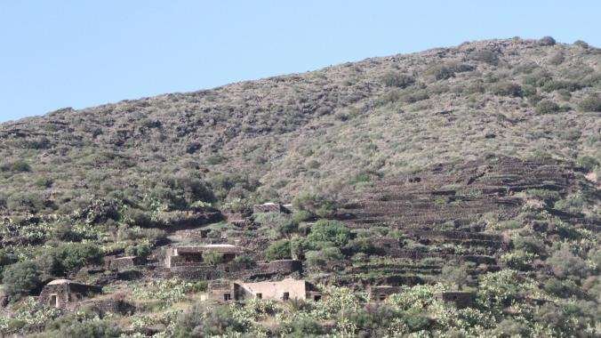 Farm Ranch in Pantelleria, Sicily, Italy 1 - 12916533