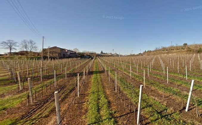 Land in Valeggio sul Mincio, Veneto, Italy 5 - 12916534
