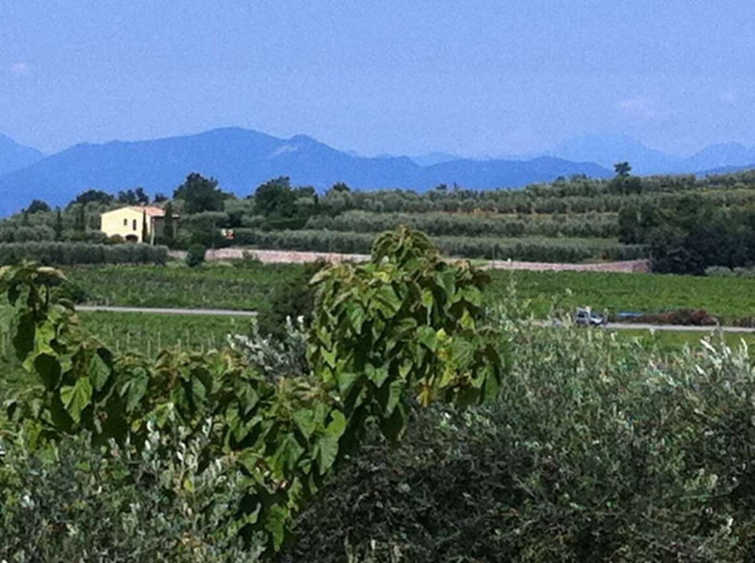 Farm Ranch in Cavaion Veronese, Veneto, Italy 5 - 12916487