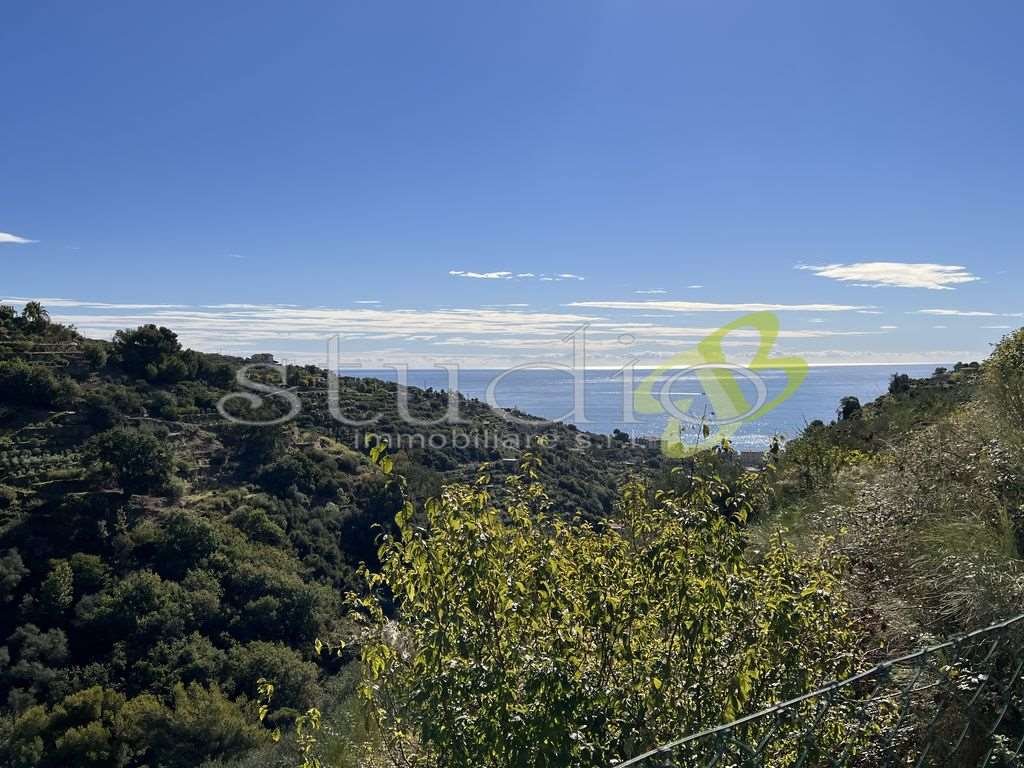 Villa in Sasso di Bordighera, Bordighera, Liguria 3 - 12916625