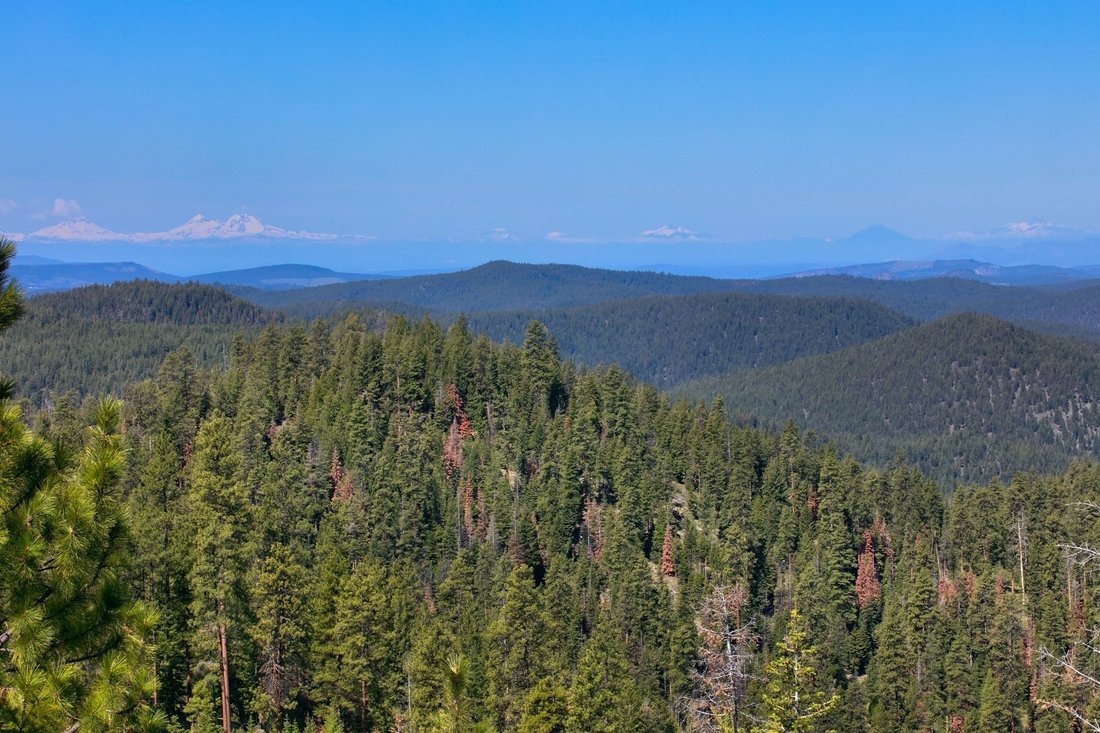 27850 Ne Old Wolf Creek Road Prineville, In Prineville, Oregon, United